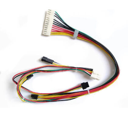 20 针 Molex 电缆组件定制电线线束更换