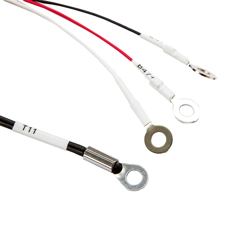 家庭储能连接线总成 小批量定制 专业团队 定期维护 锐城达